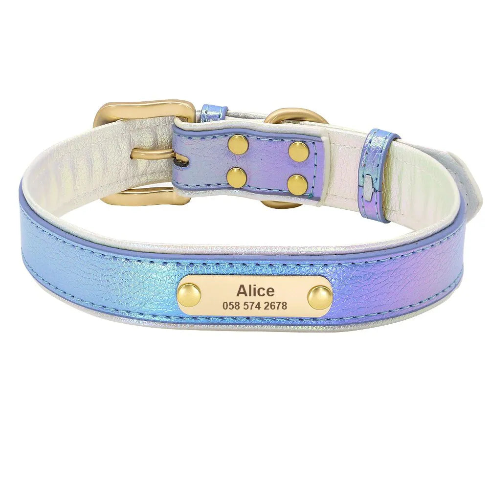 Personalized Dog Collar, Fluorescent