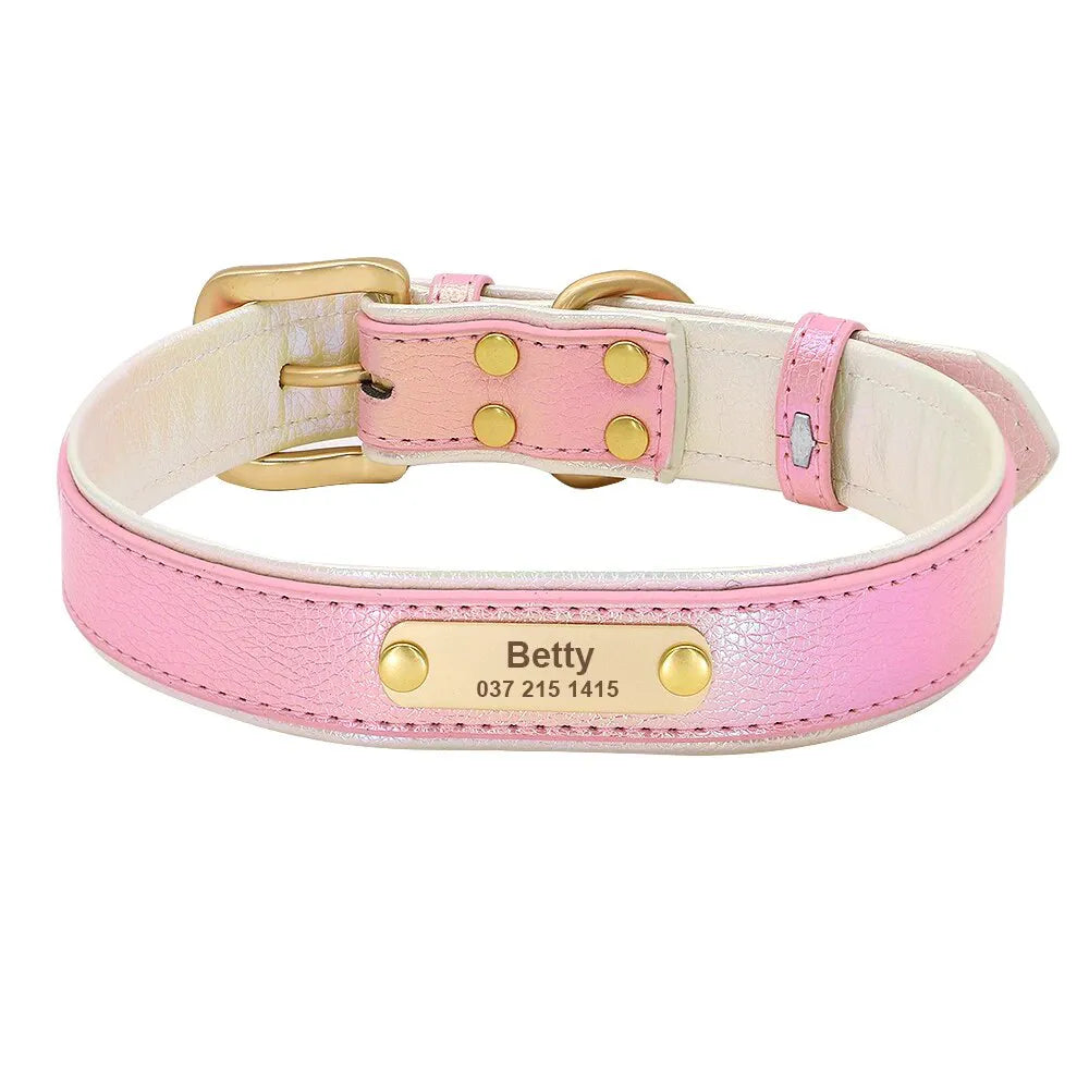 Personalized Dog Collar, Fluorescent