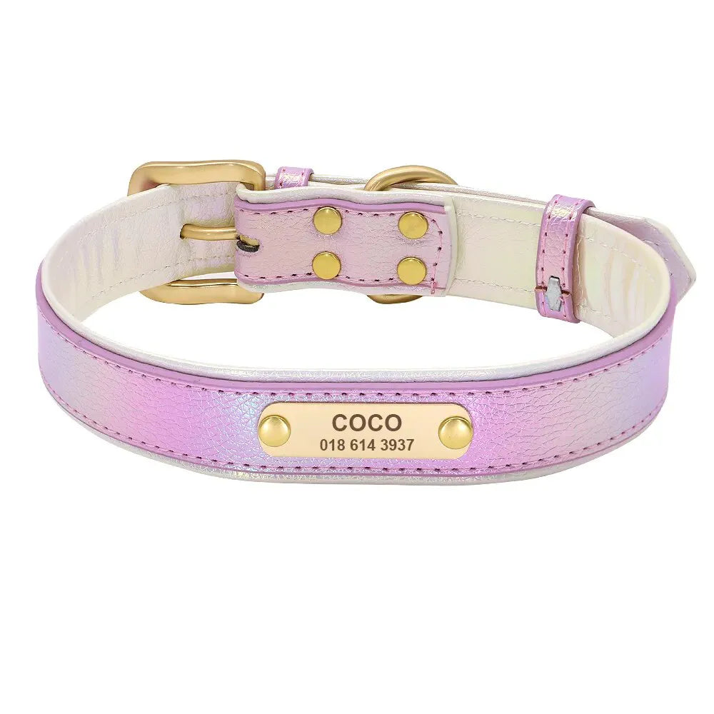 Personalized Dog Collar, Fluorescent