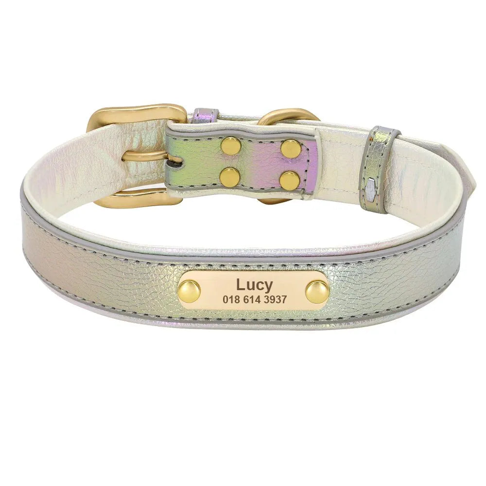 Personalized Dog Collar, Fluorescent