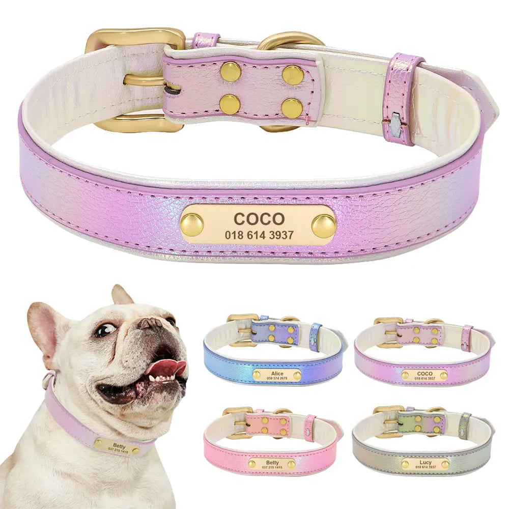 Personalized Dog Collar, Fluorescent