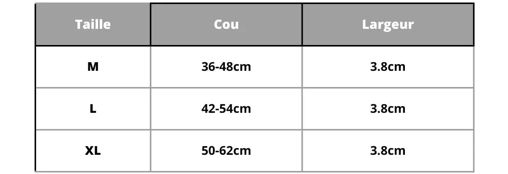 Personalized Dog Collar Large