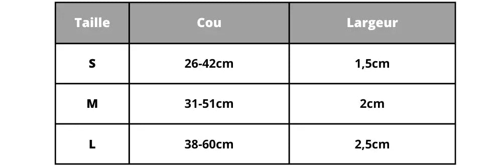 Personalized Dog Collar Name