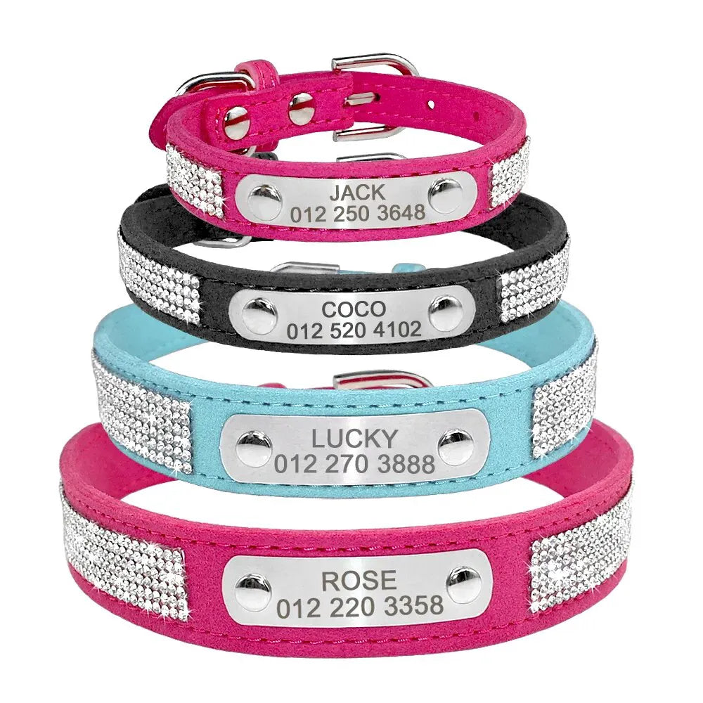 Personalized Dog Collar Named