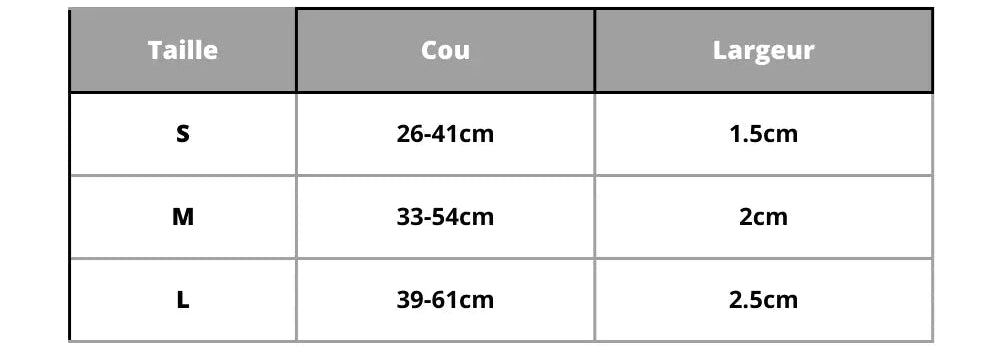 Personalized Dog Collar Pet