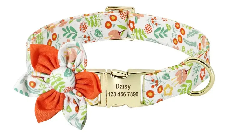 Personalized Dog Collar Pet