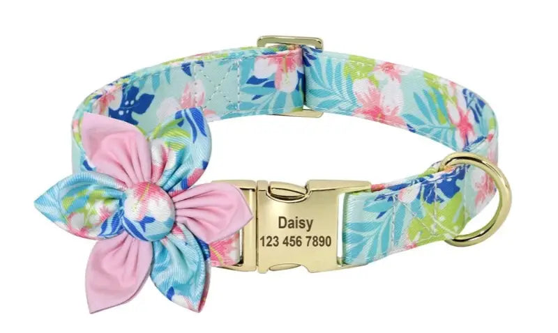 Personalized Dog Collar Pet
