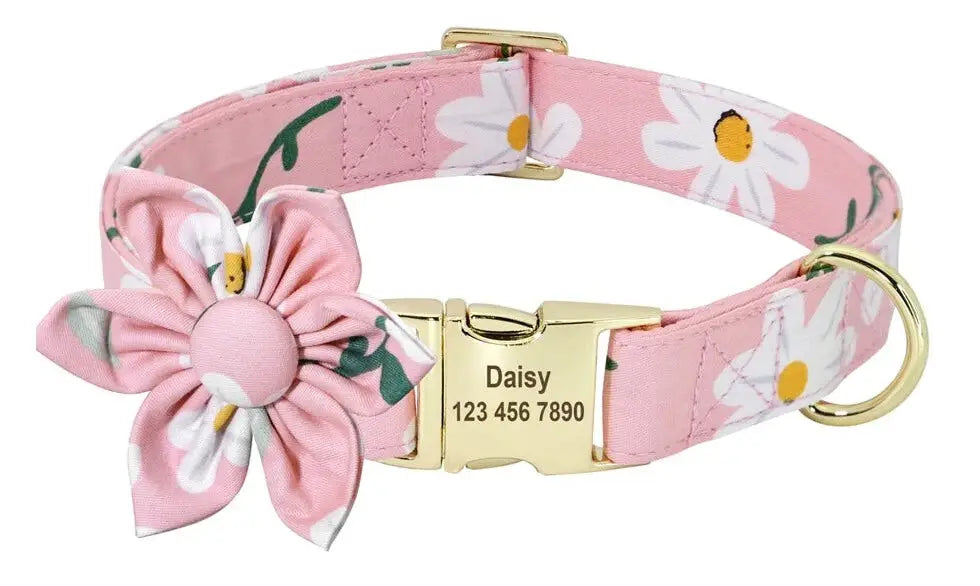 Personalized Dog Collar Pet