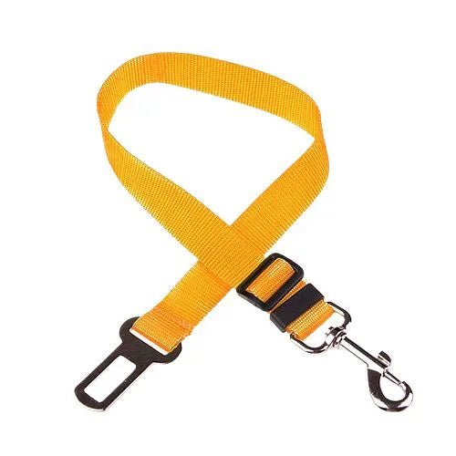 Personalized Dog Collar Safety Harness