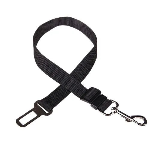 Personalized Dog Collar Safety Harness