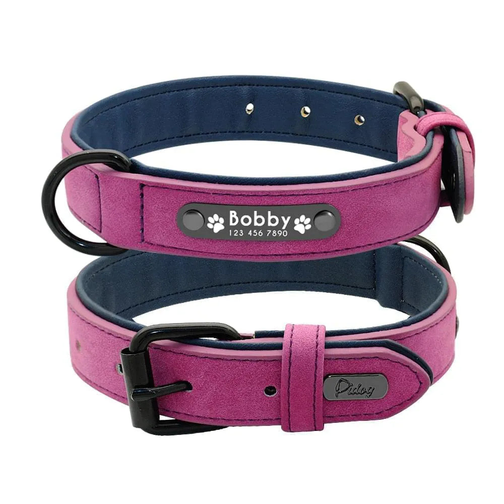 Personalized Dog Collar Skin