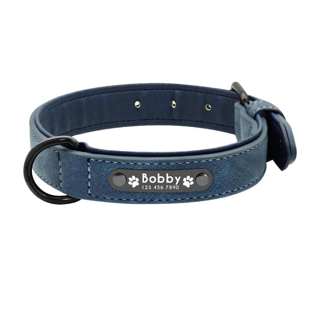 Personalized Dog Collar Skin