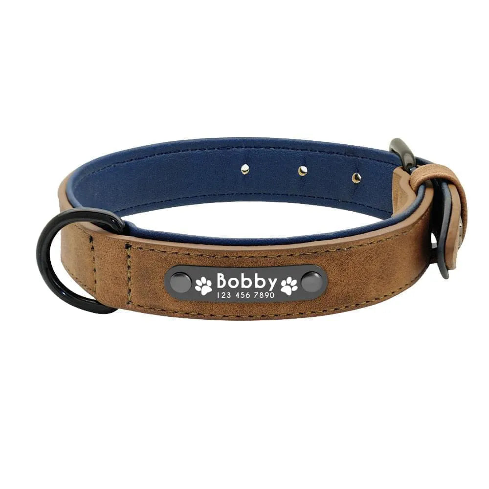 Personalized Dog Collar Skin