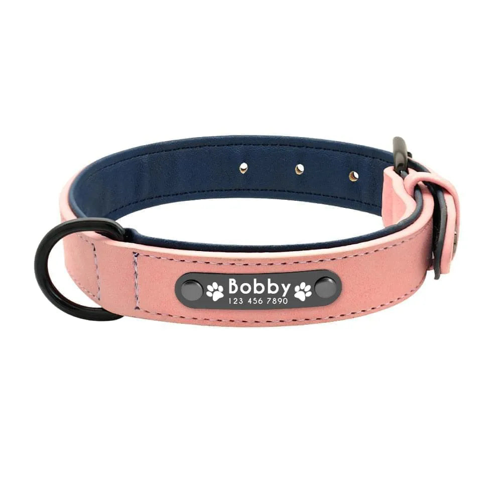 Personalized Dog Collar Skin