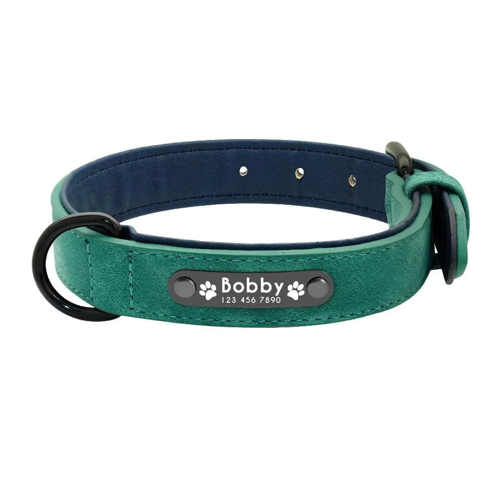 Personalized Dog Collar Skin