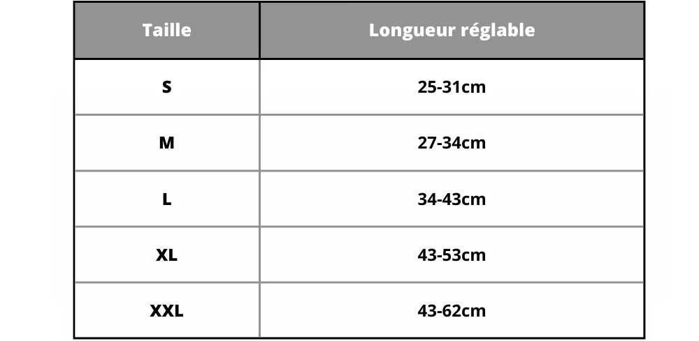 Personalized Dog Collar Skin