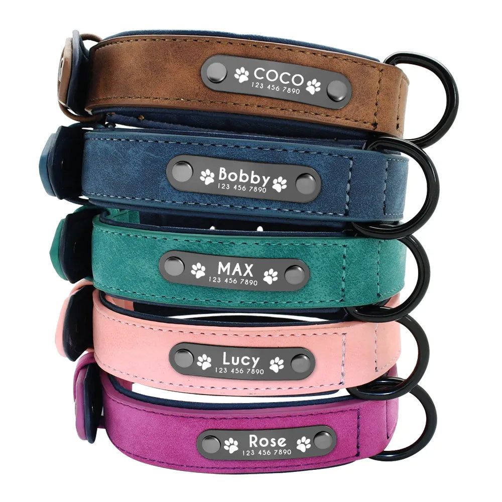 Personalized Dog Collar Skin
