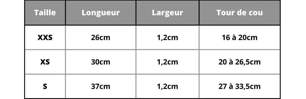 Personalized Dog Collar Small