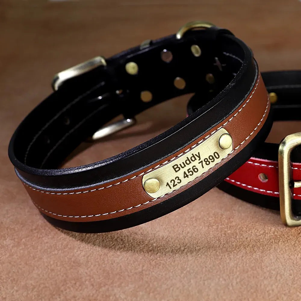 Personalized Dog Collar, stylish