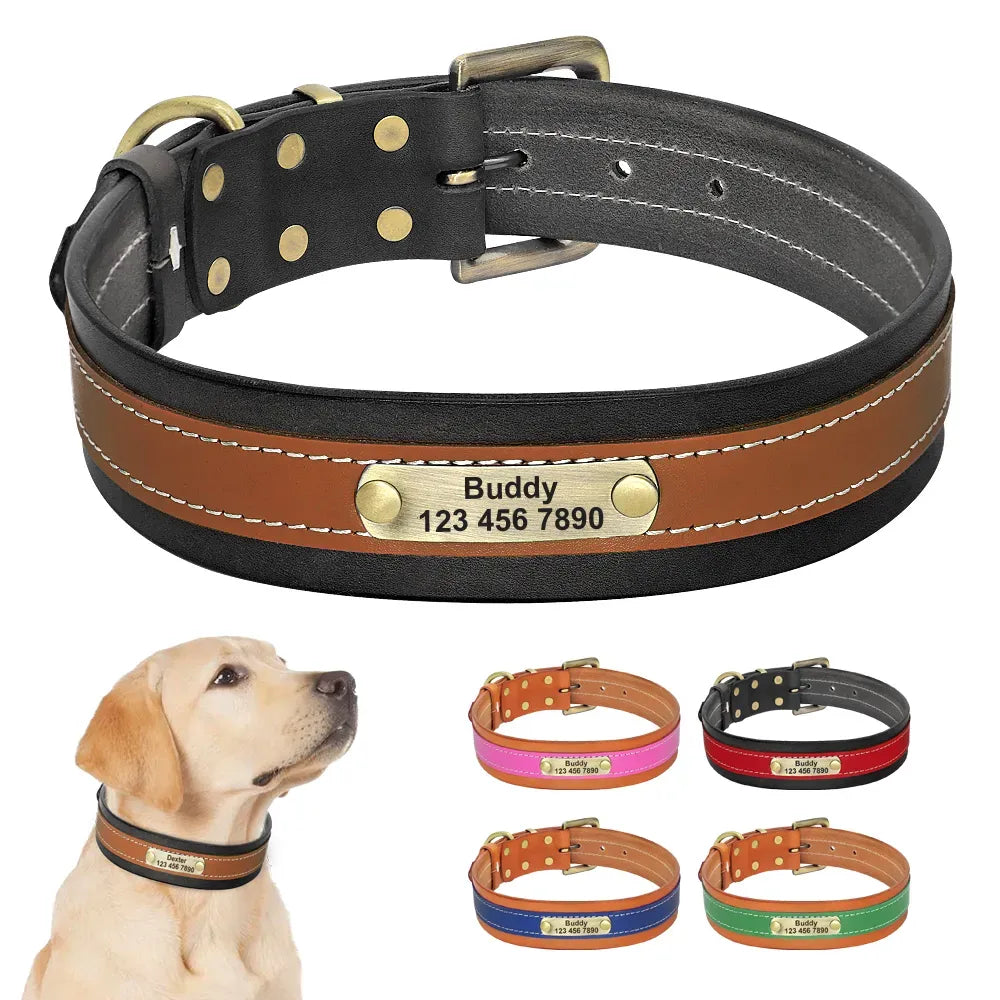 Personalized Dog Collar, stylish
