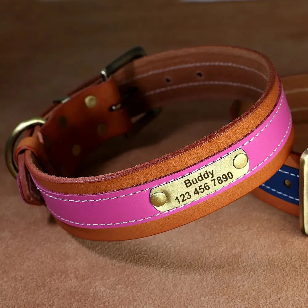 Personalized Dog Collar, stylish