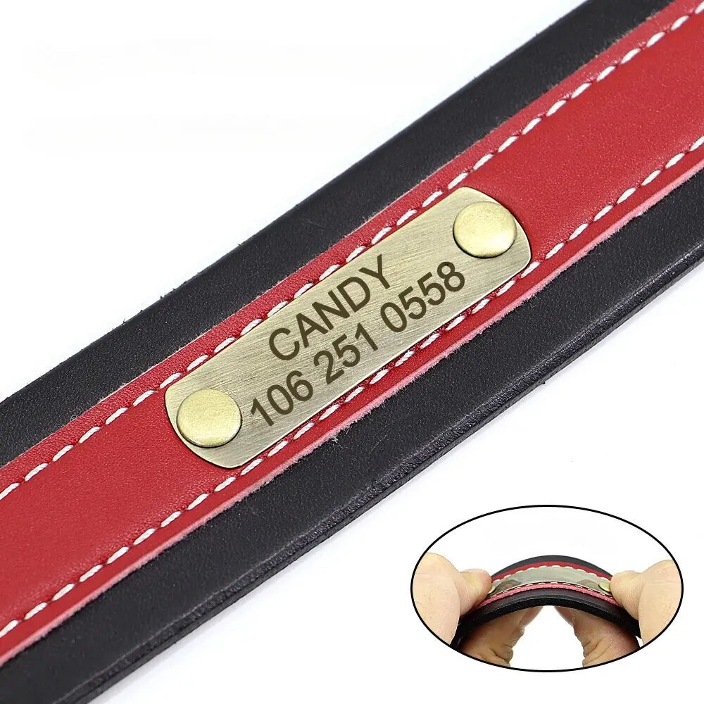 Personalized Dog Collar, stylish