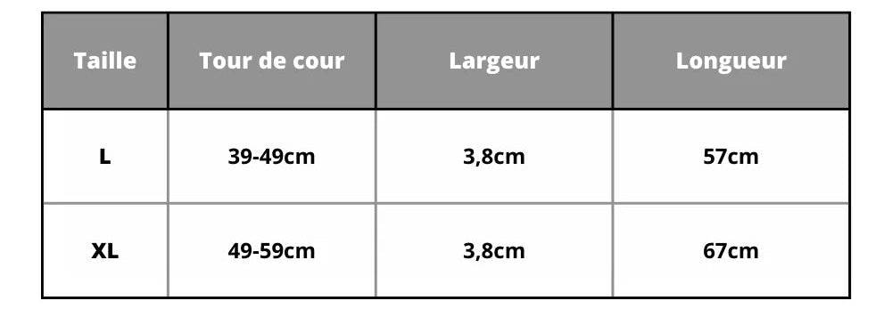 Personalized Dog Collar, stylish