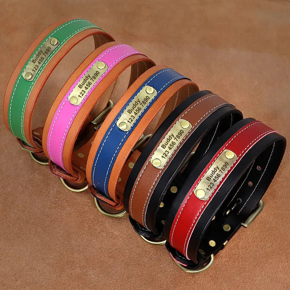 Personalized Dog Collar, stylish