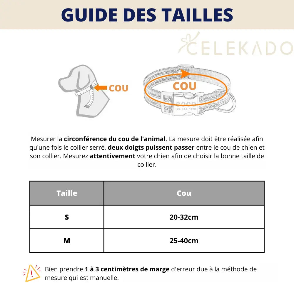 Personalized Dog Collar with Engraved Name