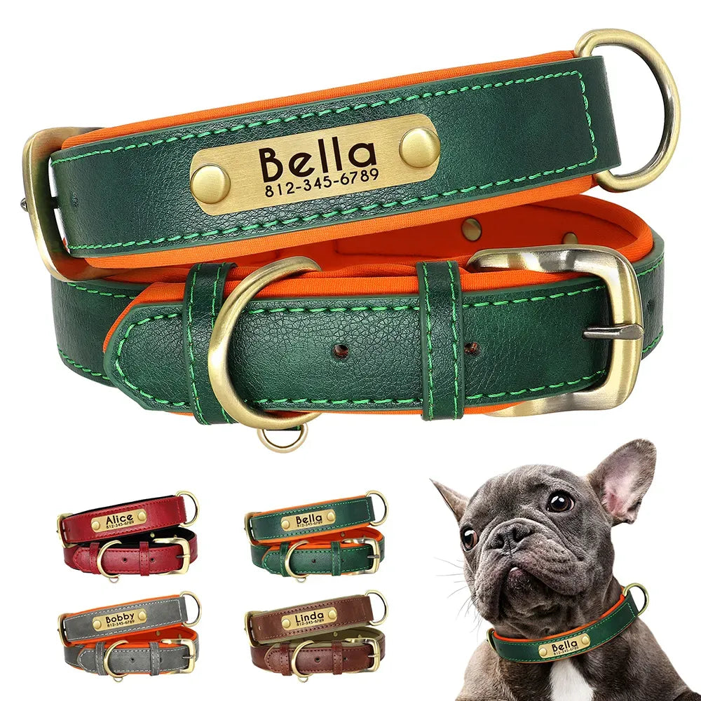 Personalized Dog Collar with Engraved Tag