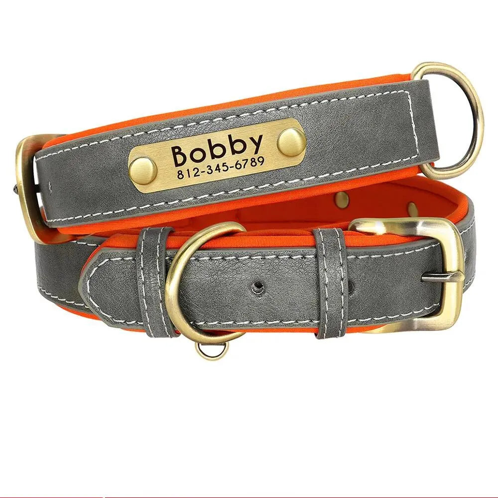 Personalized Dog Collar with Engraved Tag