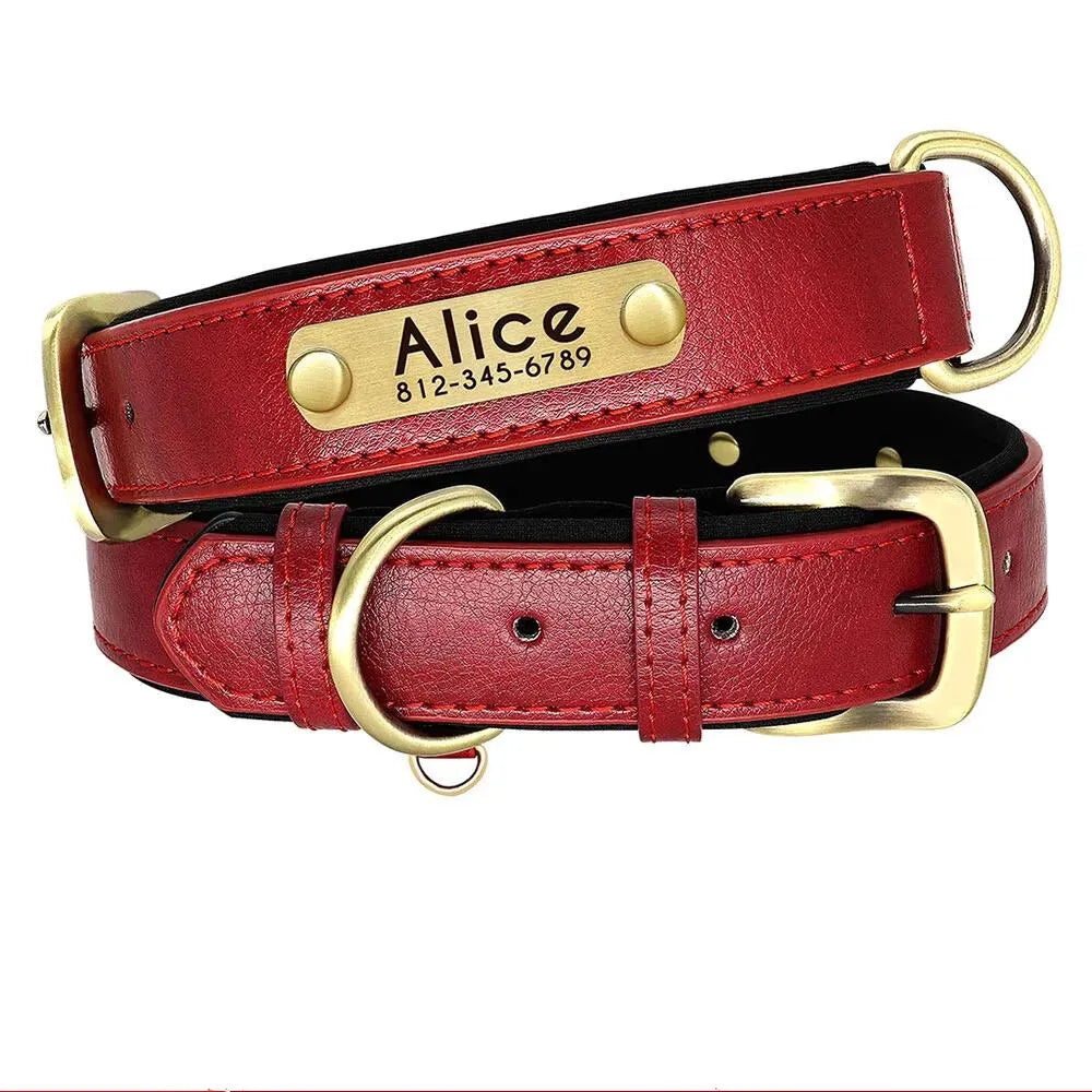 Personalized Dog Collar with Engraved Tag