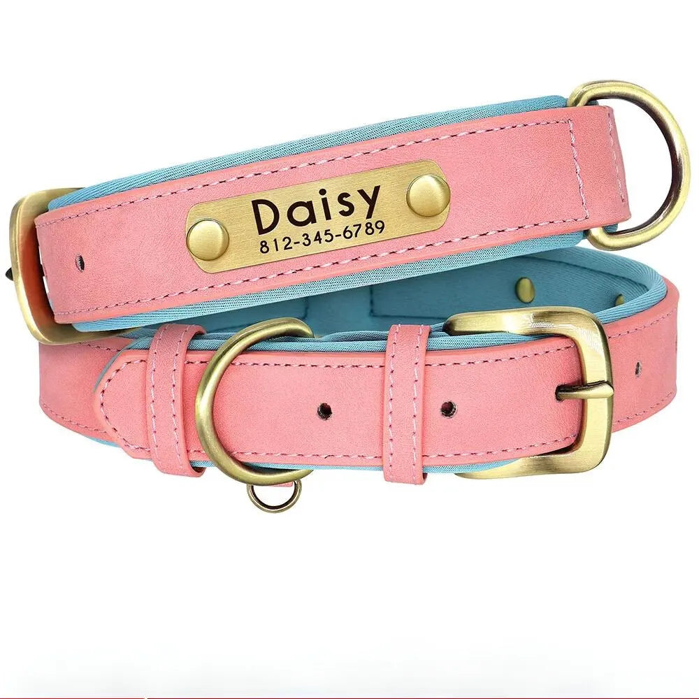 Personalized Dog Collar with Engraved Tag