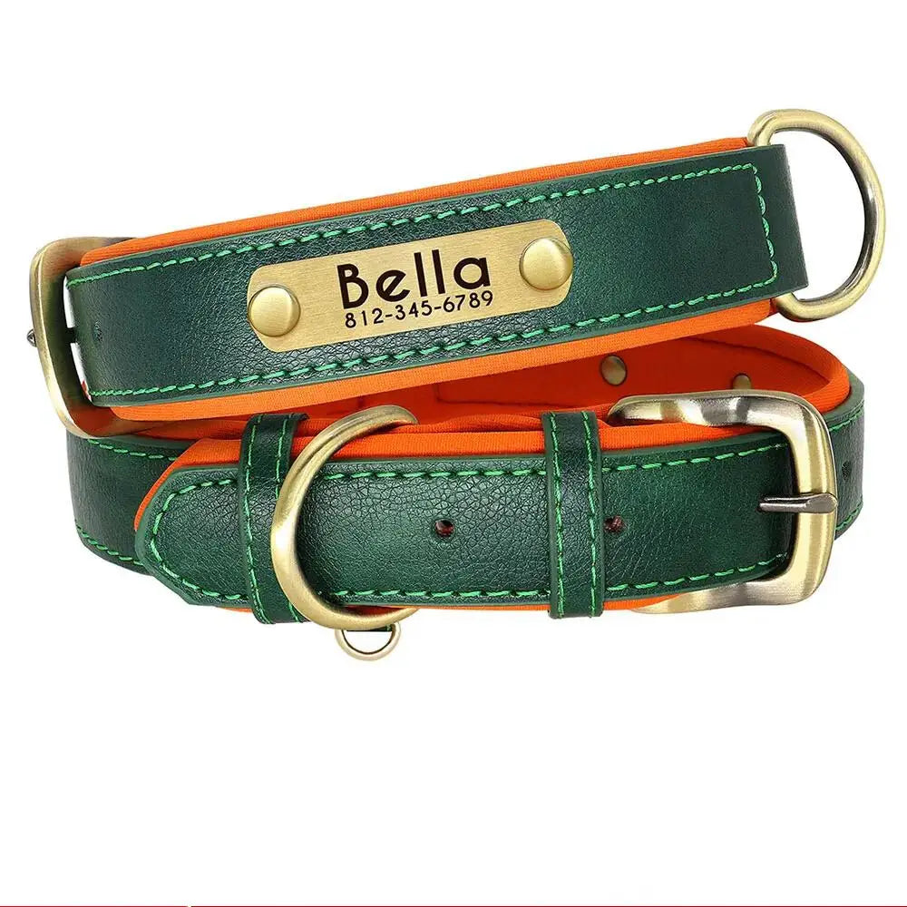 Personalized Dog Collar with Engraved Tag