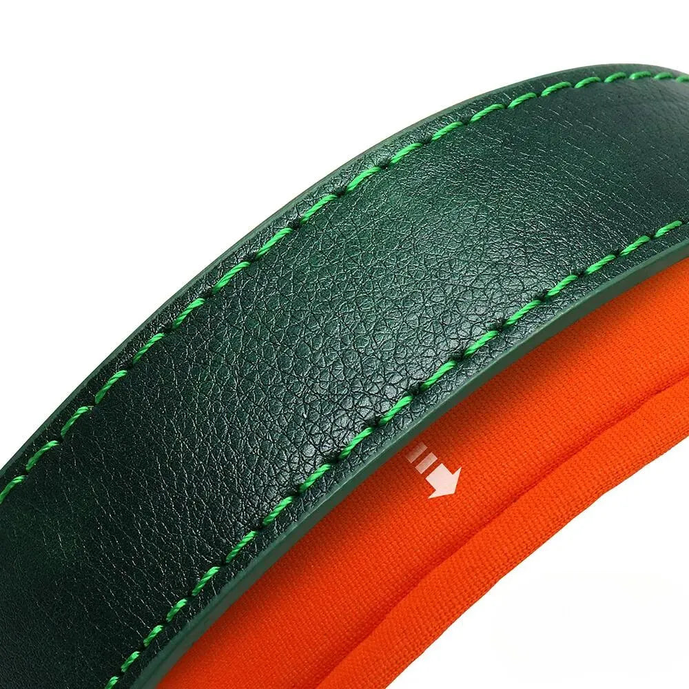 Personalized Dog Collar with Engraved Tag