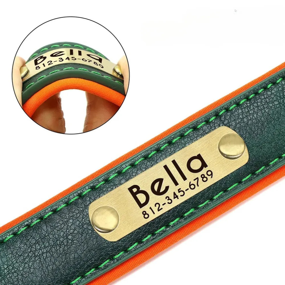 Personalized Dog Collar with Engraved Tag