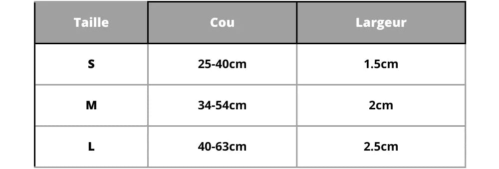 Personalized Dog Collar with Leash