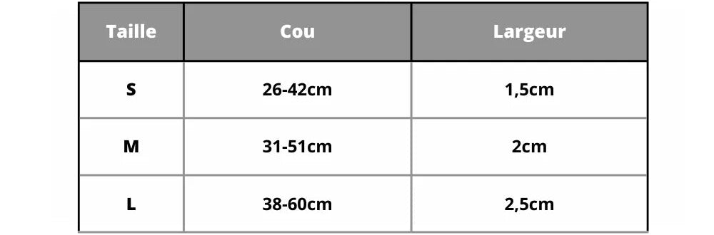 Personalized Dog Collar with Name