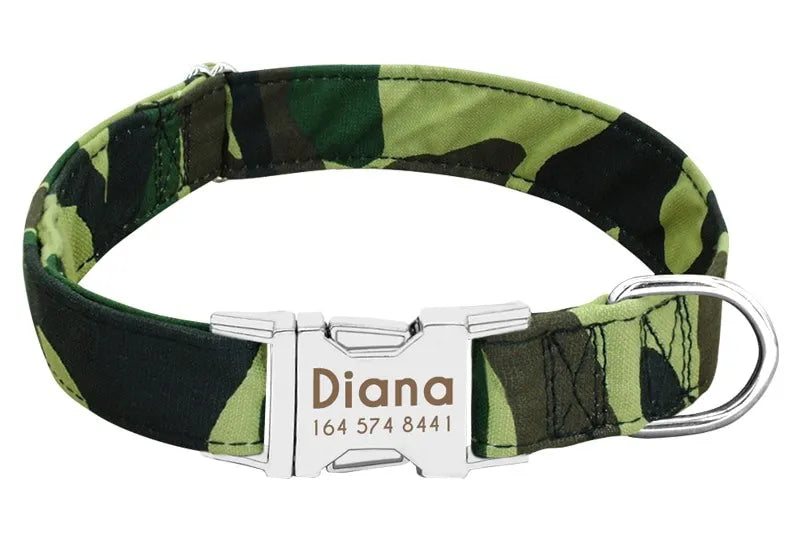 Personalized Dog Collar with Name